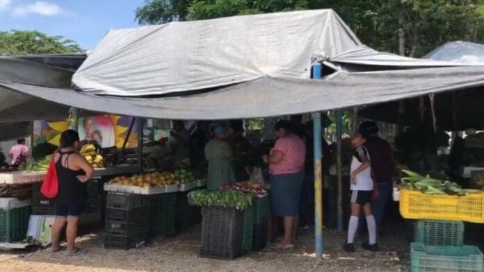 Ambulantes han invadido parques y hasta juegos infantiles en Villas del Sol; exigen su reubicación