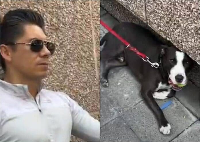 Exhiben en video a un hombre por ahorcar y golpear a su perro en Polanco, policía lo dejó libre