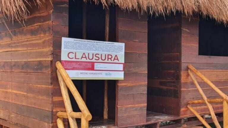 Clausura Profepa la construcción de dos cabañas en Holbox