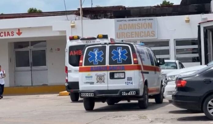 Trasladan a cinco trabajadores del Tren Maya a un hospital de Chetumal, tras ser atacados por abejas