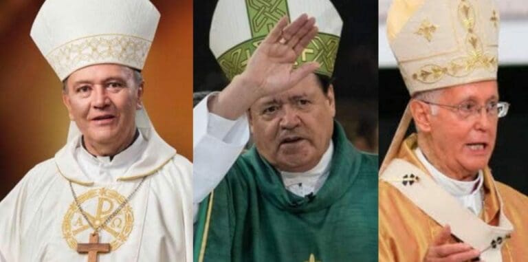 Una ONG denunció que hasta 16 jerarcas de la iglesia católica del país han protegido a sacerdotes pederastas.