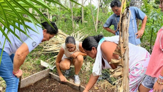 Gobierno municipal invita a producir sus propios alimentos, con huertos orgánicos