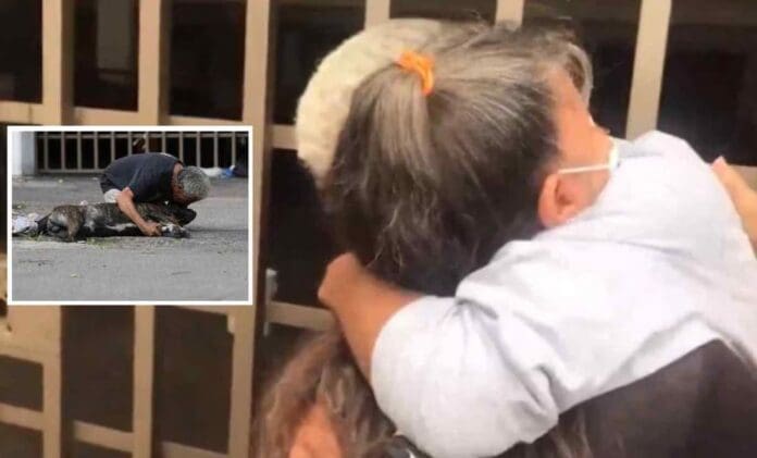 Tras partida del perro Zeus, su dueño se reencuentra con su familia