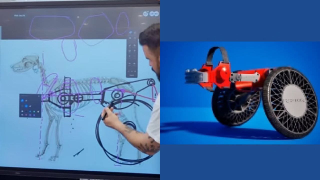 Video: Ford lanza P-Raptor: un vehículo para perritos con capacidad motriz limitada