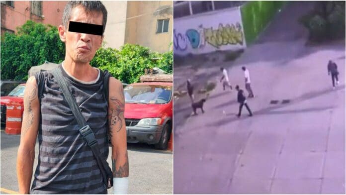 Hacen justicia por el perrito Zeus, logran detener al responsable de su muerte