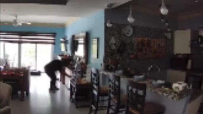 Roban más de tres millones de pesos en relojes y joyas al hermano del exalcalde de Cozumel