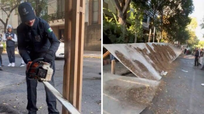 Sandra Cuevas corta pérgolas ilegales de restaurantes con una motosierra