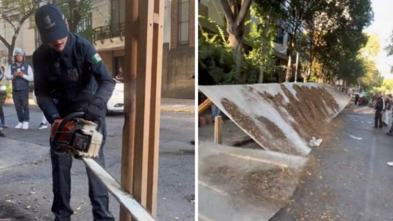 Sandra Cuevas corta pérgolas ilegales de restaurantes con una motosierra