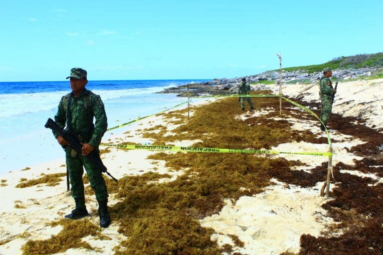 Recalan cuatro paquetes de droga en distintos puntos de la costa de Cozumel