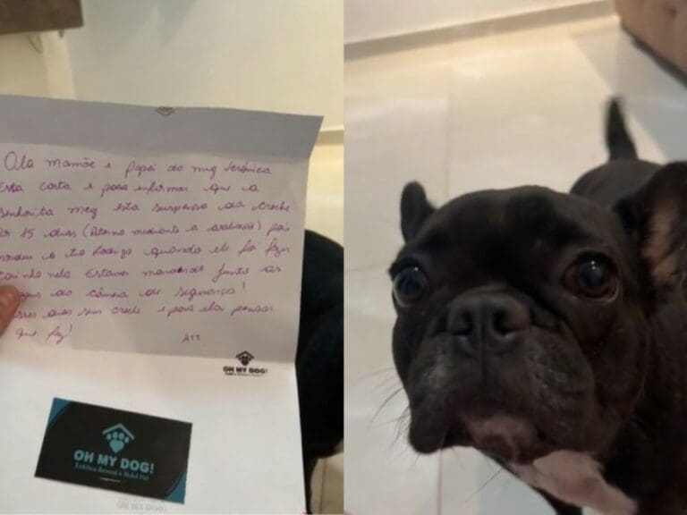 VIDEO: Suspenden a perrita de guardería por traviesa