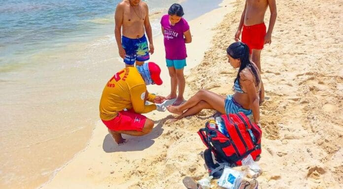 Una vez que ha concluido la temporada de verano 2023, se confirma que Playa del Carmen cerró con saldo blanco.