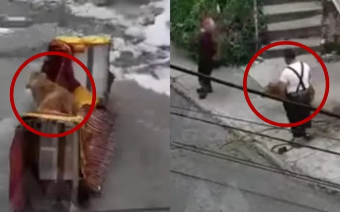 Rescatan a perrito en canal de aguas negras en Naucalpan