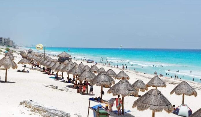 Se decretan 4 nuevas Áreas Naturales Protegidas en Q. Roo, incluida playa Delfines de Cancún