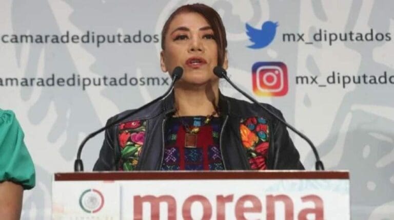 Una diputada de Morena se opuso a los libros de texto y dijo que no deben ser distribuidos. Incluso pidió una auditoría.