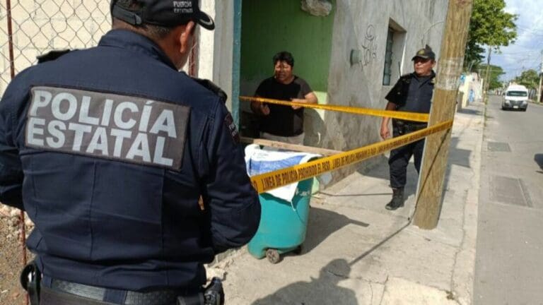 Decapitan a perro en Yucatán y amenazan a activistas que lo querían rescatar