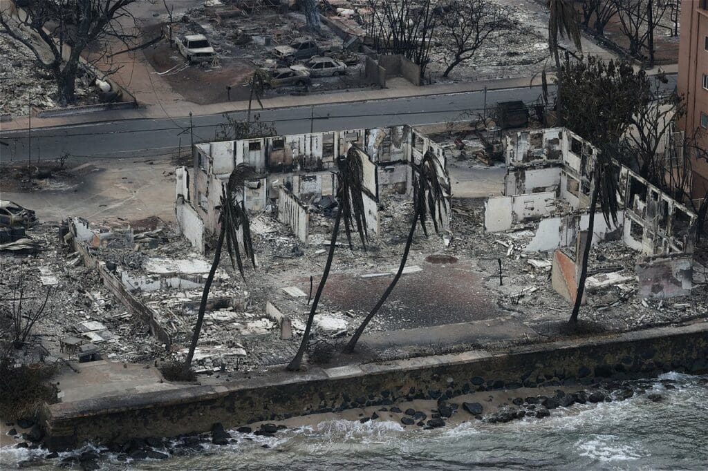 Perros rescatistas buscan cadáveres de cientos de desaparecidos por incendios en Hawái