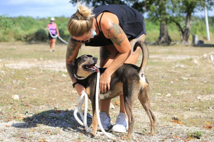 Gobierno municipal invita a la “Feria de Adopción”
