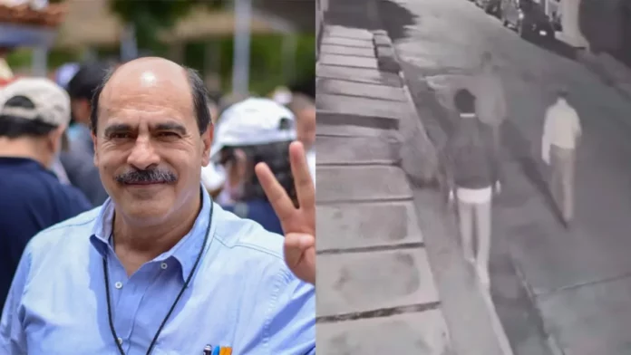 Denuncian a alcalde por matar a dos perras en Michoacán