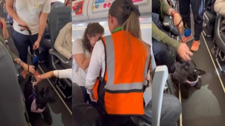 VIDEO: Usuarios ayudan a pasajera de Viva Aerobus para evitar que la bajaran con su perro de apoyo emocional