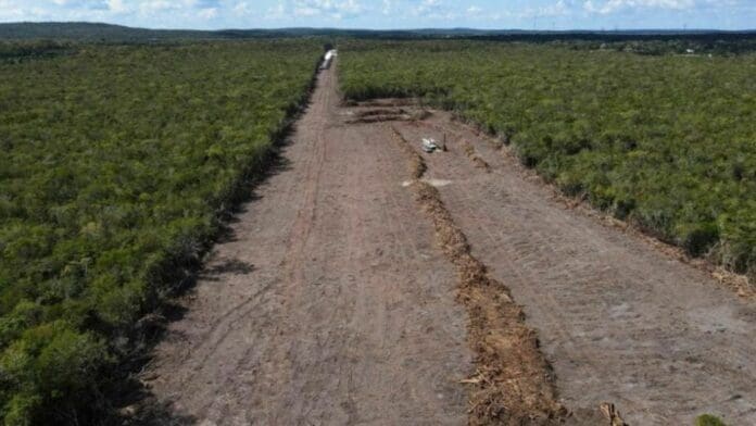 Expropia Federación 135 hectáreas en Felipe Carrillo Puerto, para obras del Tren Maya
