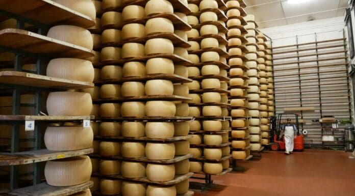 Empresario muere aplastado por 25 mil piezas de su propio queso en Italia