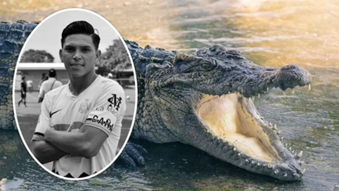VIDEO Jugador de futbol es devorado por cocodrilo
