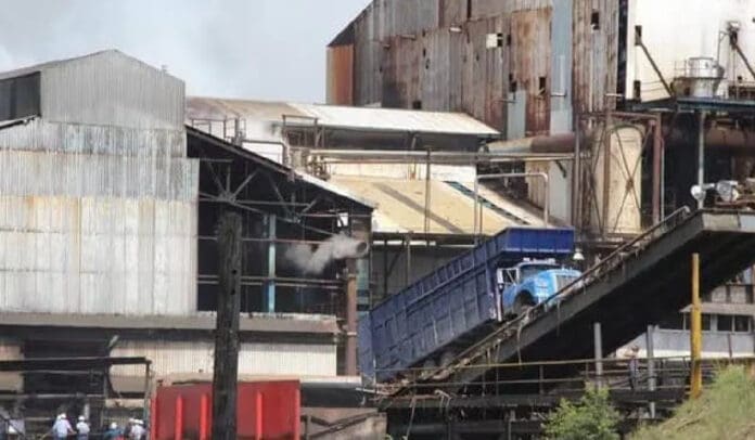 Preparan cañeros contratación de mil centroamericanos, ante escasez de mano de obra