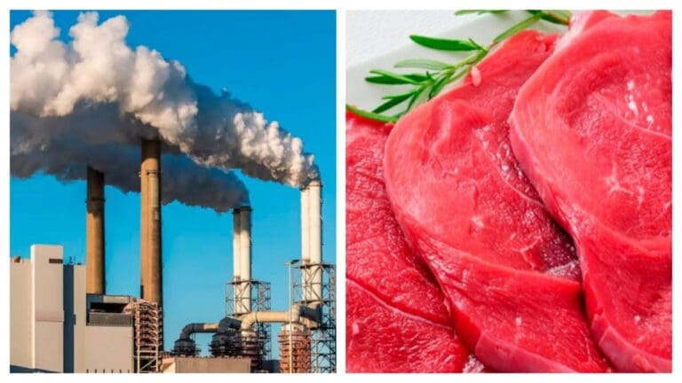 Investigadores aspiran a convertir emisiones de CO2 en proteínas comestibles