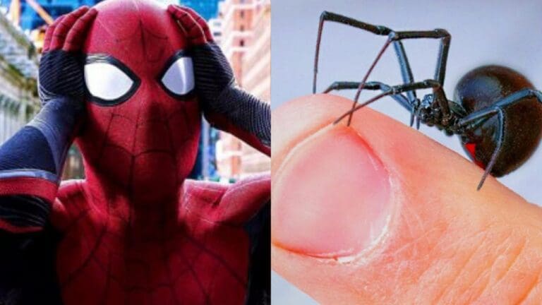 Niño se hace picar por una viuda negra para convertirse en Spider-man