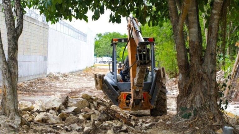 Colegio de Arquitectos recomienda actualizar el PDU y el reglamento de construcción en Playa del Carmen