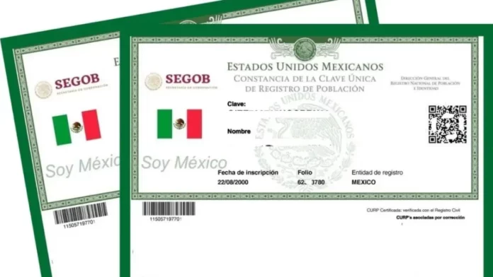 Avanza proyecto para sustituir identificación oficial del INE por CURP