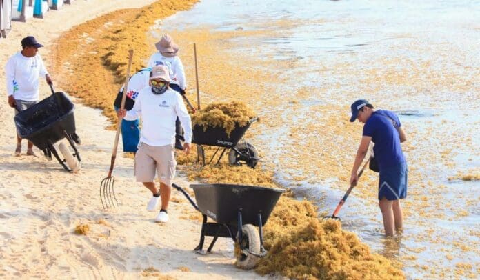 Acciones de medio ambiente a favor de locales, visitantes y turistas