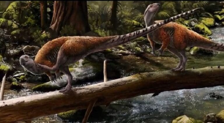 Descubren nueva especie de dinosaurio propia de Europa