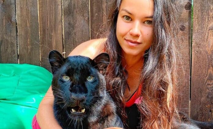 Video Luna, la pantera rescatada que ha crecido junto a una humana y un Rottweiler