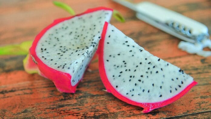 En Playa del Carmen habrá una muestra gastronómica donde la estrella de los platillos será la pitahaya. Es este sábado.