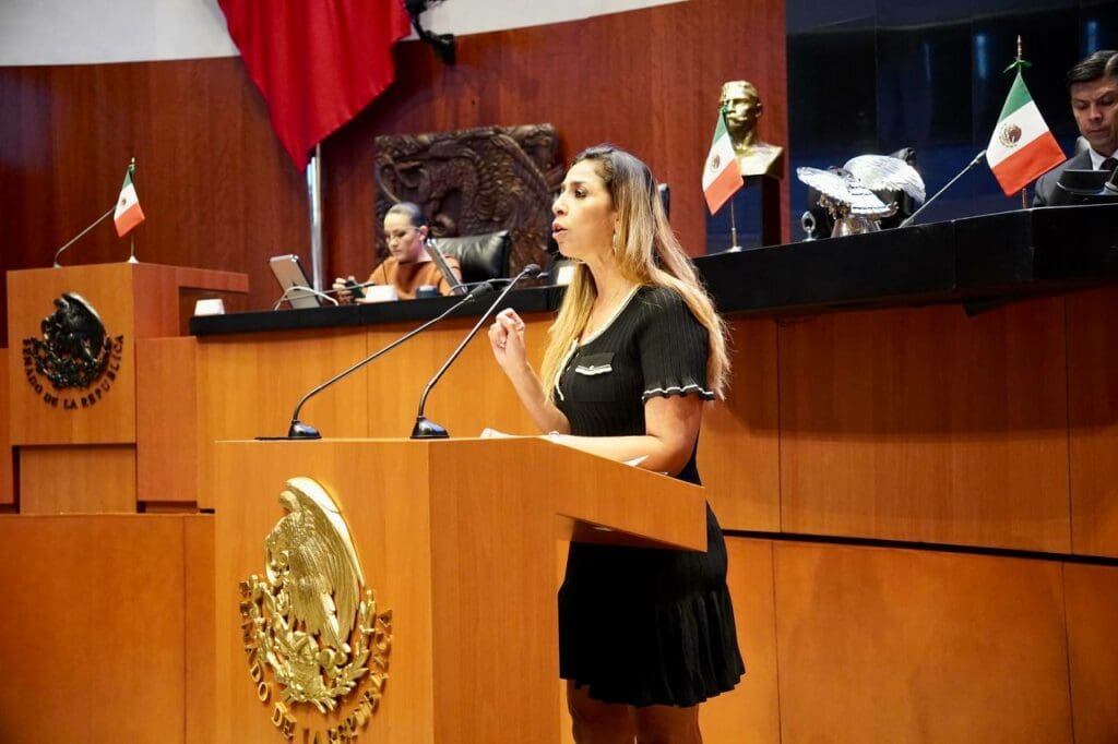 Marybel Villegas propone en el Senado ley general en materia de feminicidio