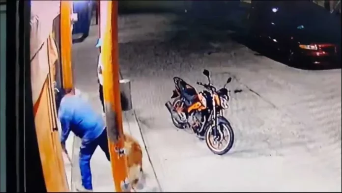 Motociclista golpea a perro por ladrar en Zempoala