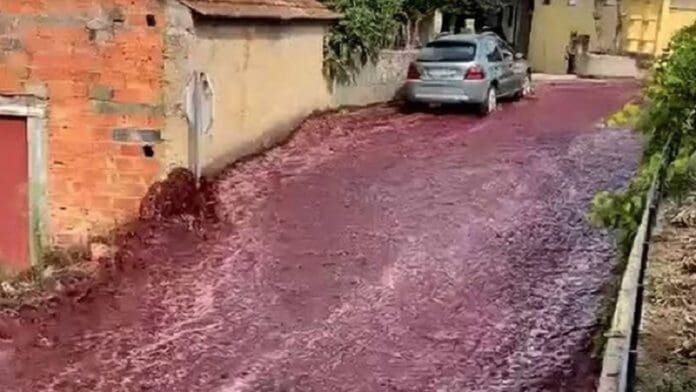 Ríos de vino tinto inundan pequeña ciudad de Portugal