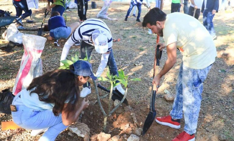 Son restauradas áreas verdes en Villas del Sol