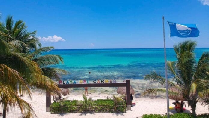 Playa del Carmen luce sin sargazo. Eso se debe a la gran labor de los trabajadores de Zofemat, que recogen el alga que recala.