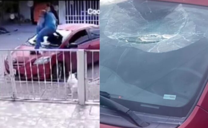 Un hombre destroza el parabrisas de un auto por huir de un perro