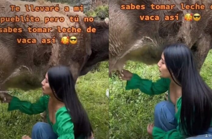 VIDEO: Mujer se vuelve viral por tomar leche directamente de las ubres de una vaca