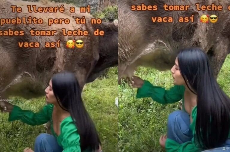 VIDEO: Mujer se vuelve viral por tomar leche directamente de las ubres de una vaca