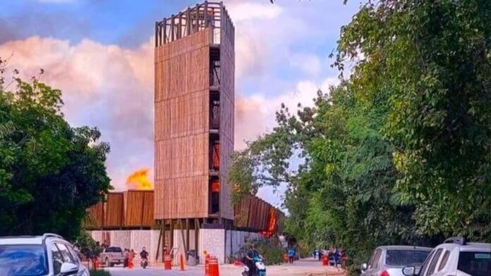 ¿Qué pasó en el Parque del Jaguar en Tulum Incendio acaba con la entrada