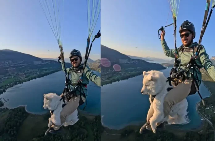 Joven salta en parapente con su perro y desata críticas en redes