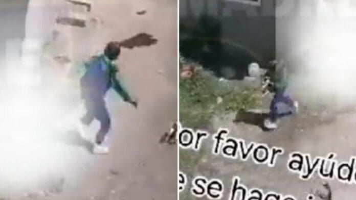 VIDEO: Captan a sujeto maltratando a patadas a un perrito en Edomex