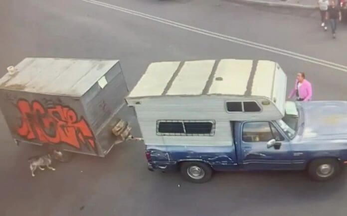 Hombre arrastraba un perrito atado a un remolque y ya fue detenido