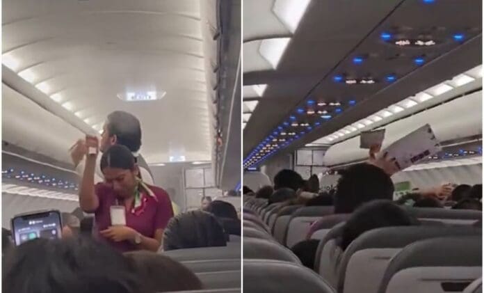 Video Mosquitos provocan caos en vuelo de la aerolínea 'Volaris'