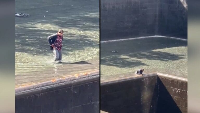 VIDEO: Hombre saltó a estanque del Memorial del 11 de septiembre en Nueva York