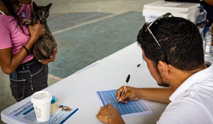 Realizan por primera vez, censo canino y felino en Solidaridad